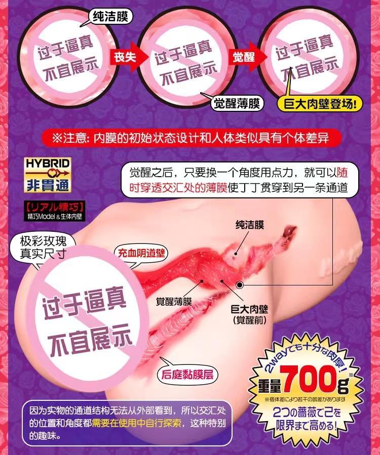 MAGIC EYES Gokusai Lavieen Roses 2 Maiden Masturbator Cup - Jiumii Adult Store