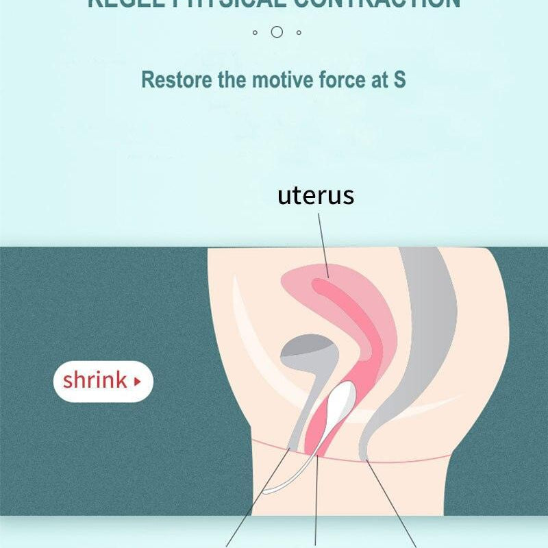 MEESE Premium Kegel Training Ben Wa Balls Set - Jiumii Adult Store