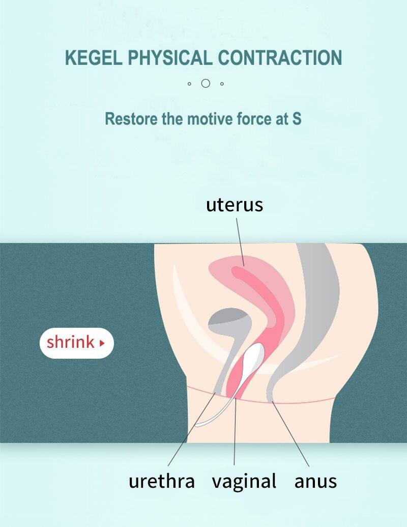 MEESE Premium Kegel Training Ben Wa Balls Set - Jiumii Adult Store